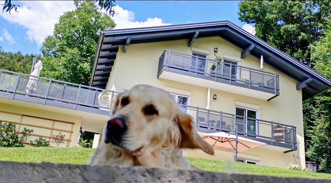 Schwalbennest Velden Apartman Velden am Wörthersee Kültér fotó